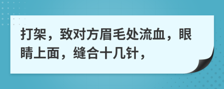 打架，致对方眉毛处流血，眼睛上面，缝合十几针，