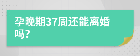 孕晚期37周还能离婚吗？