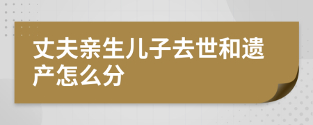 丈夫亲生儿子去世和遗产怎么分