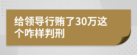 给领导行贿了30万这个咋样判刑