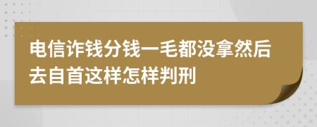 电信诈钱分钱一毛都没拿然后去自首这样怎样判刑