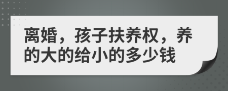 离婚，孩子扶养权，养的大的给小的多少钱