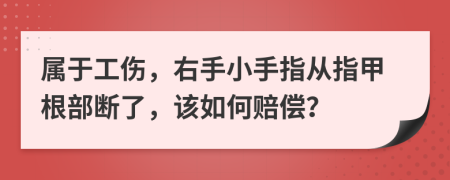 属于工伤，右手小手指从指甲根部断了，该如何赔偿？