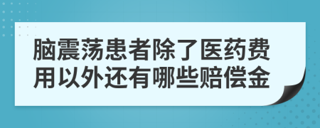 脑震荡患者除了医药费用以外还有哪些赔偿金