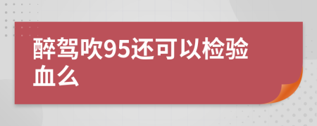 醉驾吹95还可以检验血么