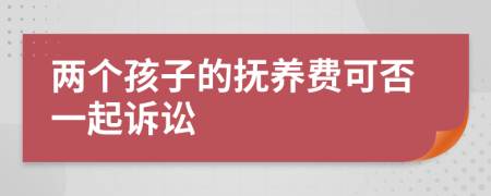 两个孩子的抚养费可否一起诉讼