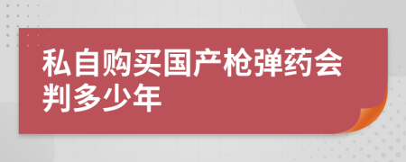 私自购买国产枪弹药会判多少年