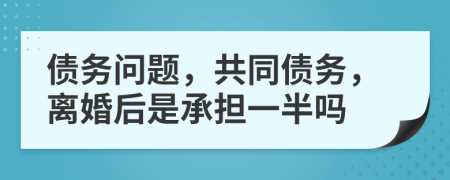 债务问题，共同债务，离婚后是承担一半吗