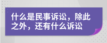 什么是民事诉讼，除此之外，还有什么诉讼