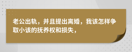 老公出轨，并且提出离婚，我该怎样争取小该的抚养权和损失，