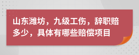 山东潍坊，九级工伤，辞职赔多少，具体有哪些赔偿项目