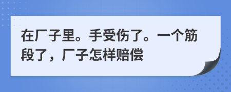 在厂子里。手受伤了。一个筋段了，厂子怎样赔偿