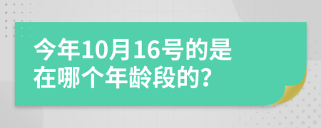 今年10月16号的是在哪个年龄段的？