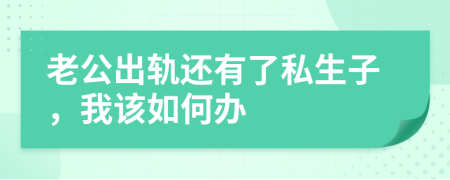 老公出轨还有了私生子，我该如何办