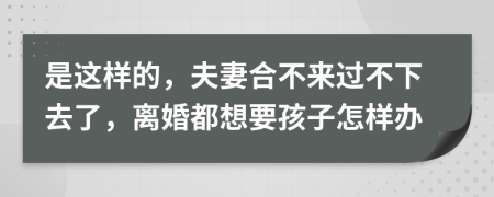 是这样的，夫妻合不来过不下去了，离婚都想要孩子怎样办