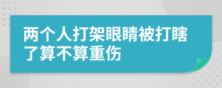 两个人打架眼睛被打瞎了算不算重伤