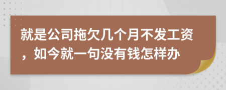 就是公司拖欠几个月不发工资，如今就一句没有钱怎样办