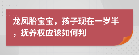 龙凤胎宝宝，孩子现在一岁半，抚养权应该如何判