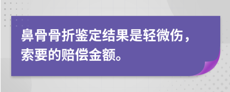 鼻骨骨折鉴定结果是轻微伤，索要的赔偿金额。