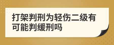 打架判刑为轻伤二级有可能判缓刑吗