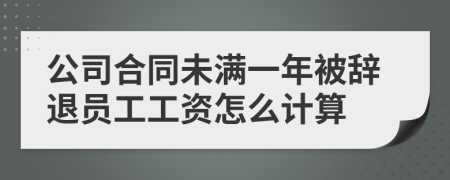 公司合同未满一年被辞退员工工资怎么计算