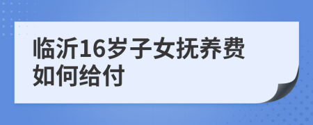 临沂16岁子女抚养费如何给付
