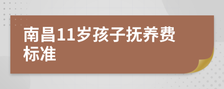 南昌11岁孩子抚养费标准