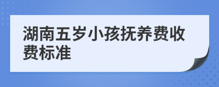 湖南五岁小孩抚养费收费标准