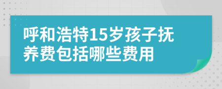 呼和浩特15岁孩子抚养费包括哪些费用