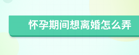 怀孕期间想离婚怎么弄