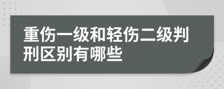 重伤一级和轻伤二级判刑区别有哪些