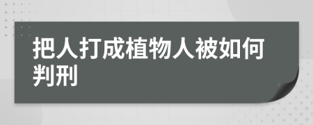 把人打成植物人被如何判刑