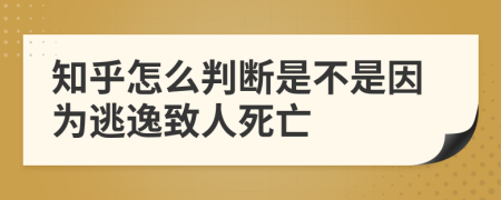 知乎怎么判断是不是因为逃逸致人死亡