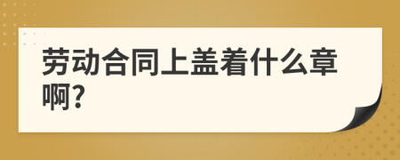 劳动合同上盖着什么章啊?