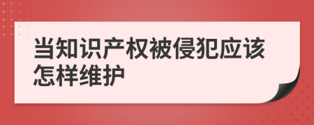 当知识产权被侵犯应该怎样维护