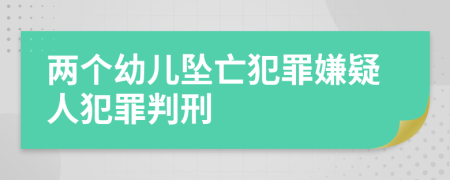 两个幼儿坠亡犯罪嫌疑人犯罪判刑