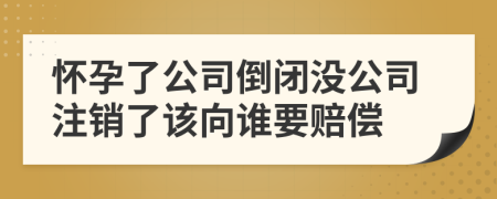 怀孕了公司倒闭没公司注销了该向谁要赔偿