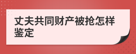 丈夫共同财产被抢怎样鉴定