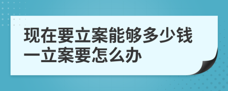 现在要立案能够多少钱一立案要怎么办