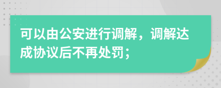 可以由公安进行调解，调解达成协议后不再处罚；