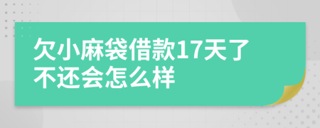 欠小麻袋借款17天了不还会怎么样