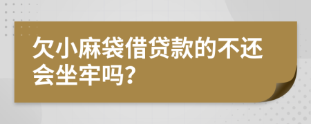 欠小麻袋借贷款的不还会坐牢吗？