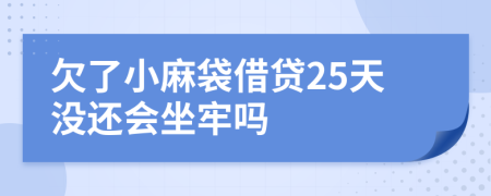 欠了小麻袋借贷25天没还会坐牢吗