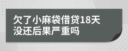 欠了小麻袋借贷18天没还后果严重吗