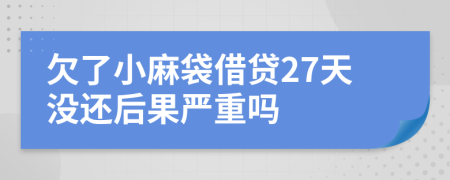 欠了小麻袋借贷27天没还后果严重吗