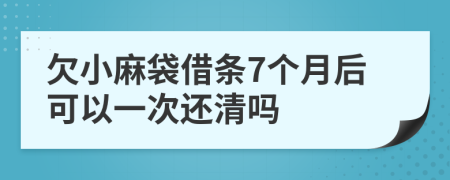 欠小麻袋借条7个月后可以一次还清吗