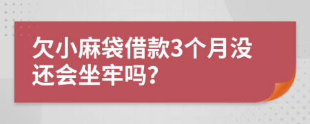 欠小麻袋借款3个月没还会坐牢吗？