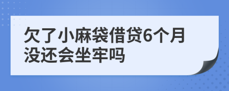 欠了小麻袋借贷6个月没还会坐牢吗