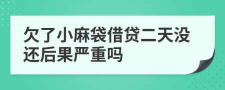 欠了小麻袋借贷二天没还后果严重吗