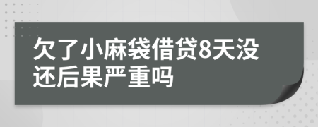 欠了小麻袋借贷8天没还后果严重吗